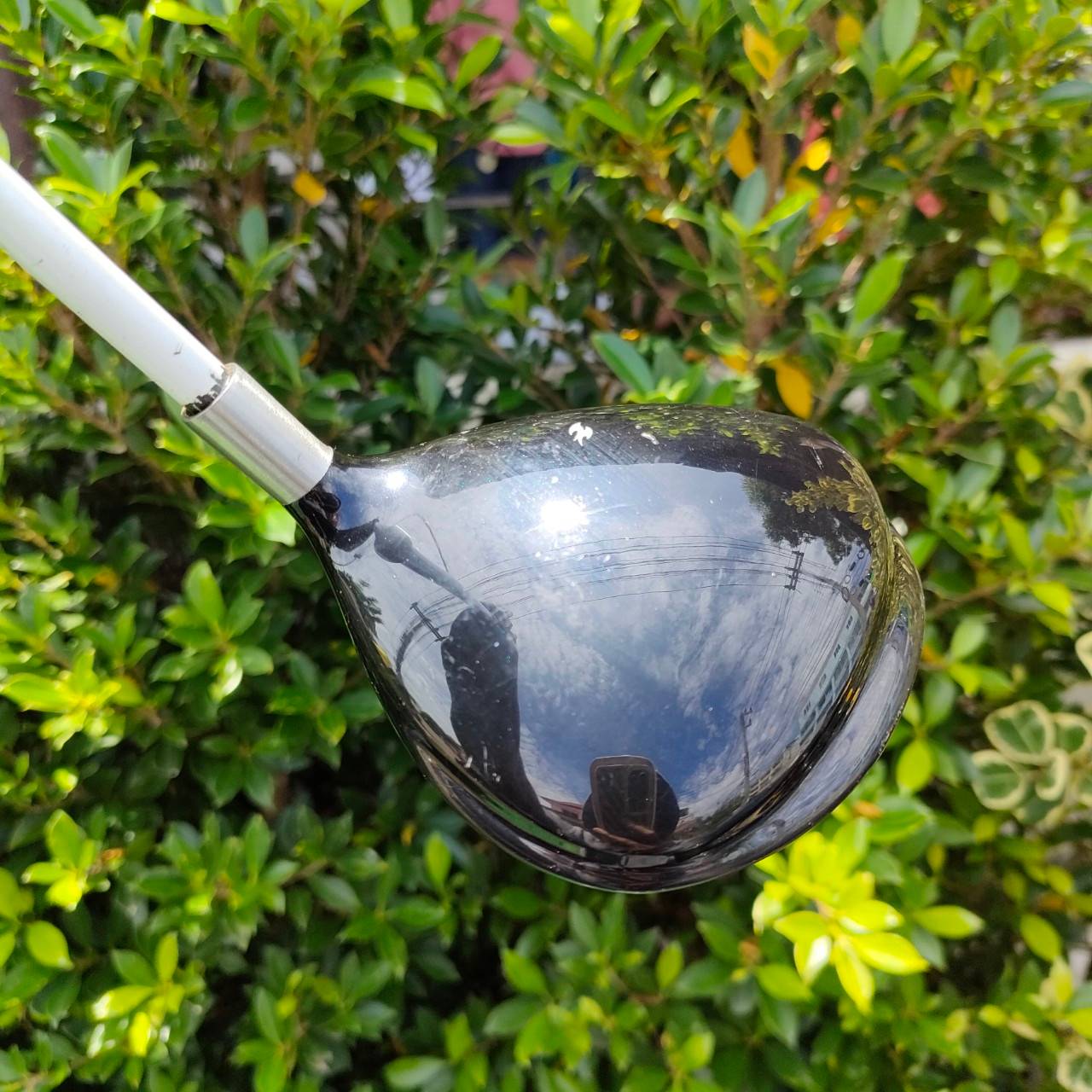 FW 5 TAYLORMADE BURNER LADY ก้าน PARADISO FLEX L องศา 18 เน้นตีง่ายๆ สำหรับคุณผู้หญิงครับ