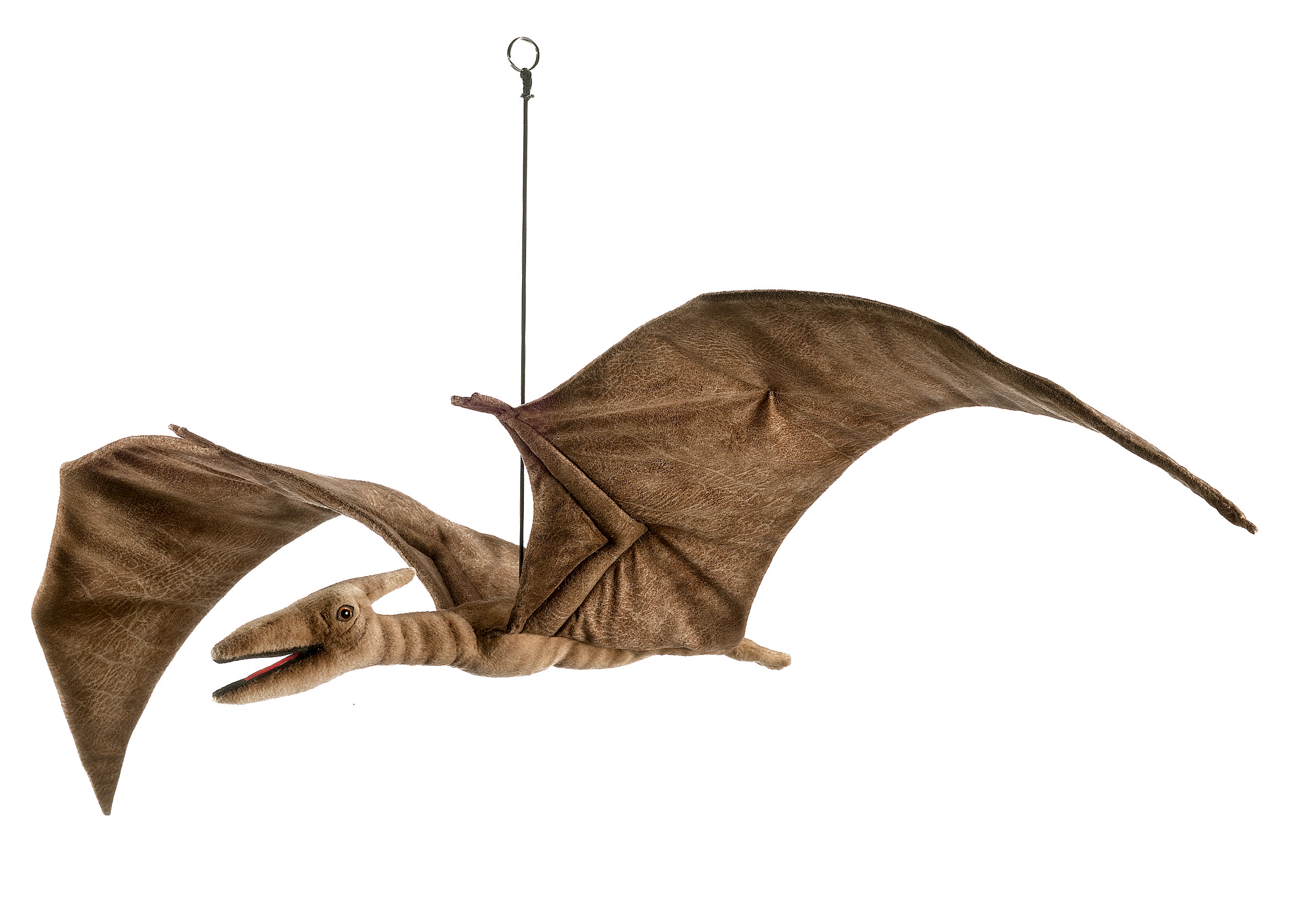 5102 Pterodactyl 100 cm. W
