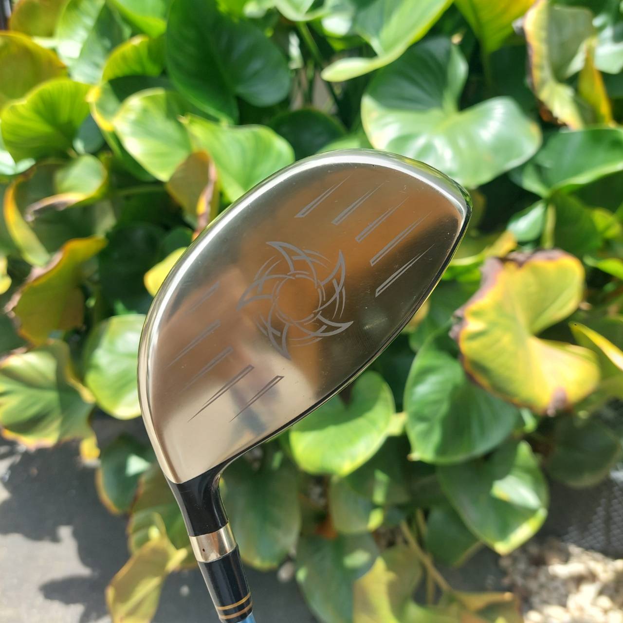 Driver Voltio Ninja 485Hi Gold COR 0.89 คือโหดมาก เป็นรุ่น Hi หน้าเด้งสุดขั้วชนรั้วชนธง!!