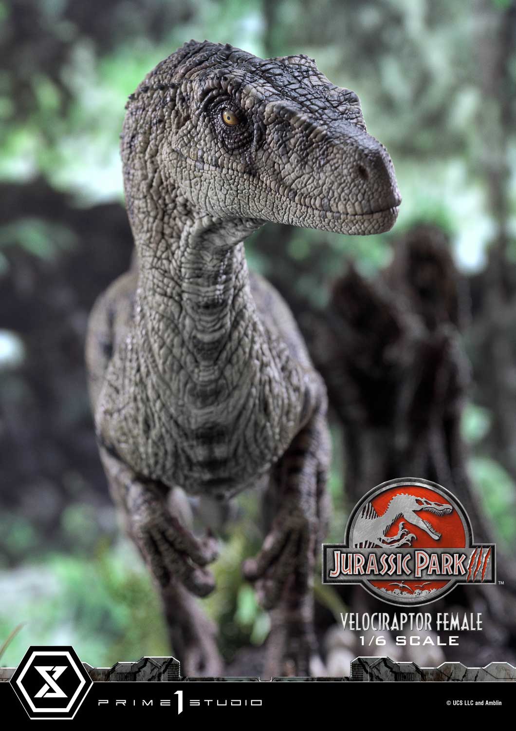 [สั่งจอง] Prime 1 Studio : 1LMCJP-11: Velociraptor Female (Jurassic Park 3)