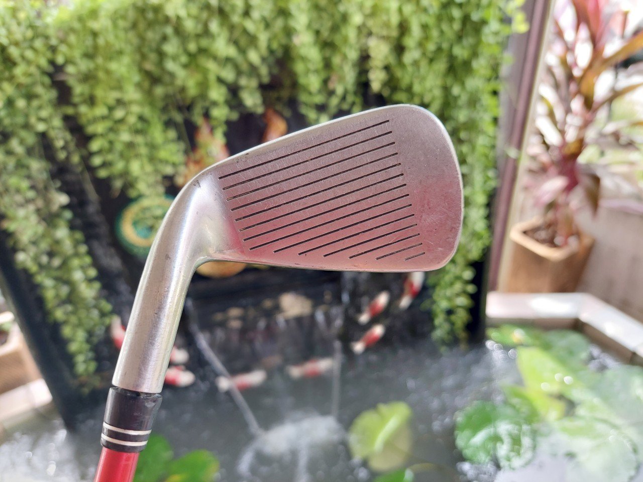 เหล็ก Titleist 981 DCI