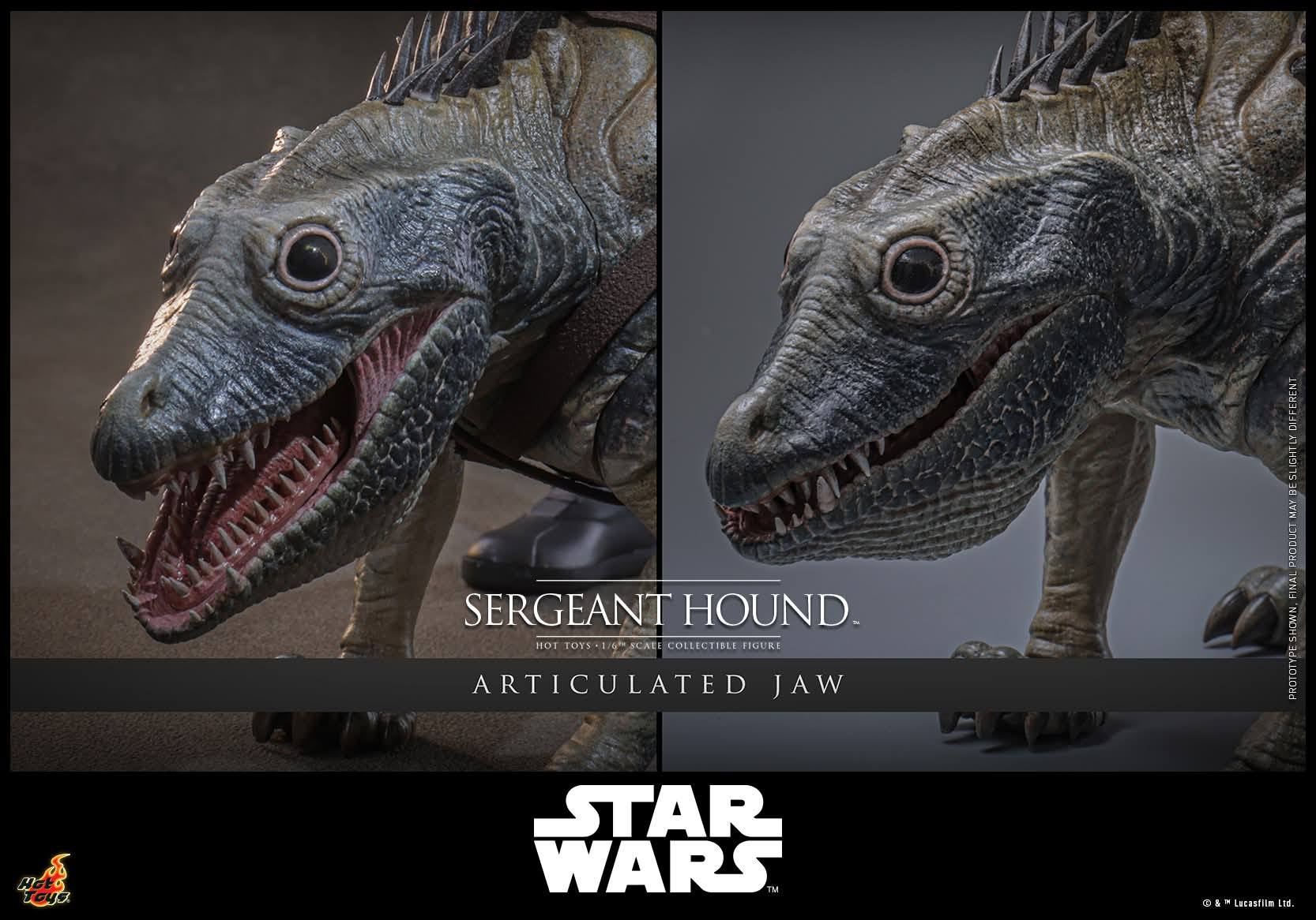 [สั่งจอง]HOT TOYS TMS167 1/6 : Sergeant Hound Collectible Figure [Star Wars: The Clone Wars]