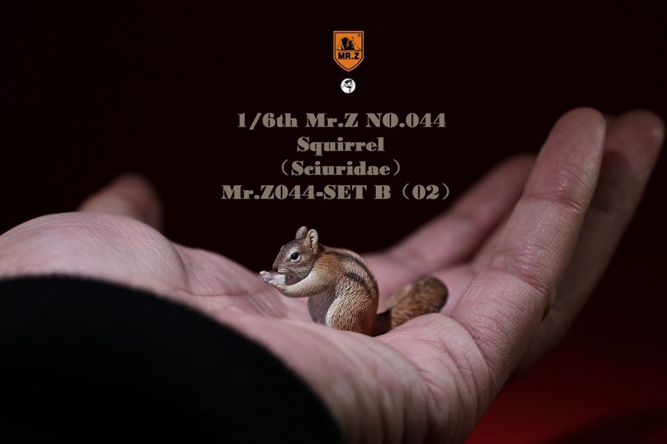 [สั่งจอง]Mr. Z Animal Model Mr.Z044 1/6th : Squirrell [Set A/B]