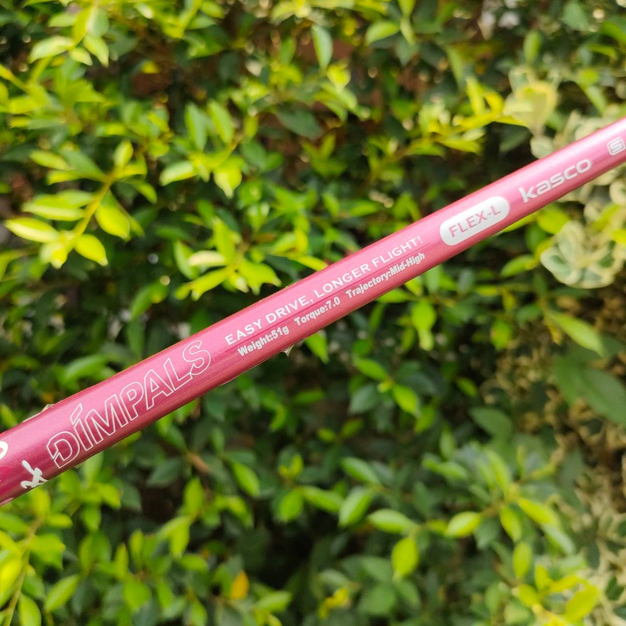 ** ไม้กอล์ฟสำหรับผู้หญิง ** DRIVER KASCO DIMPALS EL องศา 12 ก้าน DIMPALS FLEX L หน้าสัมผัสกว้าง ตีไกล และไกล วัสดุพรีเมี่ยม มาตรฐานสูง คุ้มค่าราคามากๆ