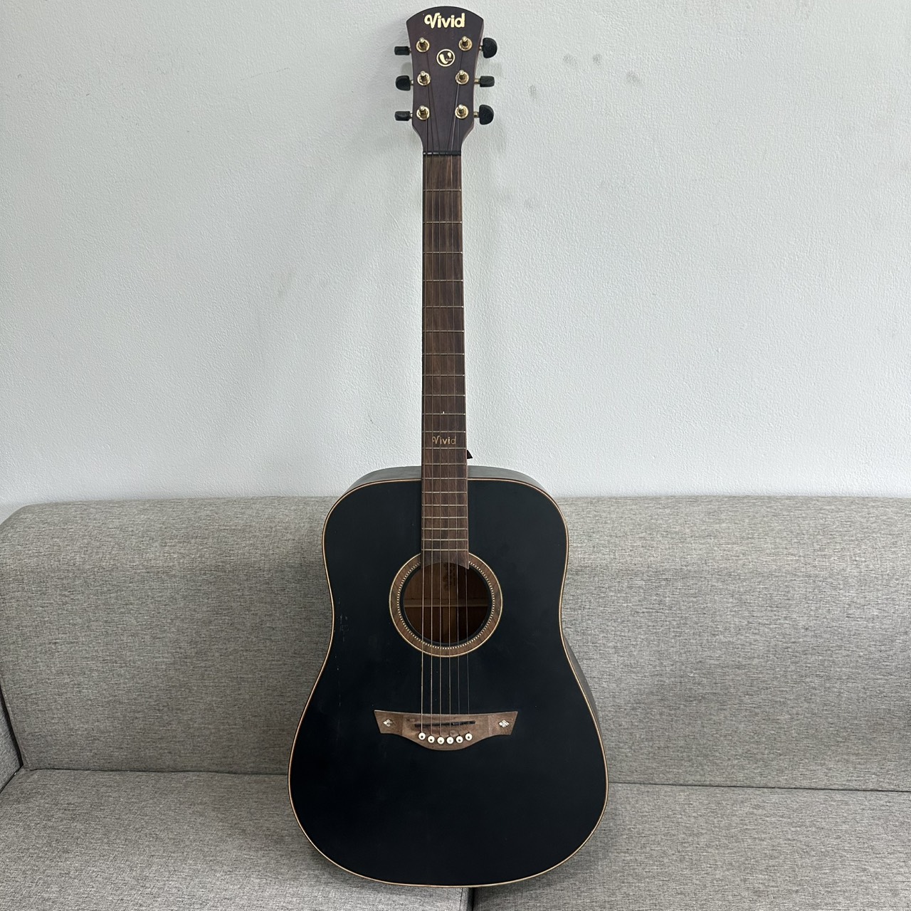 กีต้าร์โปร่ง Vivid รุ่น V-22/BKM