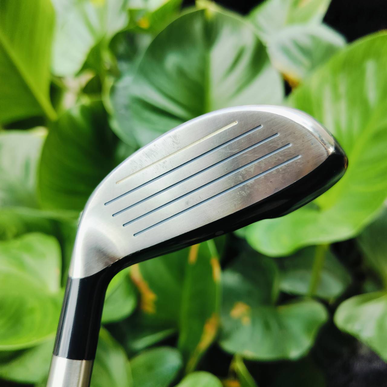 *** ไม้กอล์ฟสำหรับผู้หญิงหรือ ซีเนียร์ที่สวิงเบาๆ ตีได้สบายค่ะ*** . UT5 NIKE IGNITE ออกแบบเรียบหรูและตีดีมาก วัสดุเหมาะกับ UT มากที่สุด ไม้กอล์ฟพรีเมี่ยมมือสอง ของแท้ By NakaraLuxurious