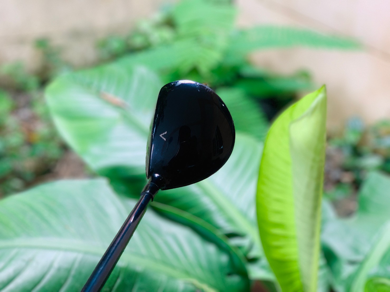 FAIRWAY 5 TOURSTAGE VIQF