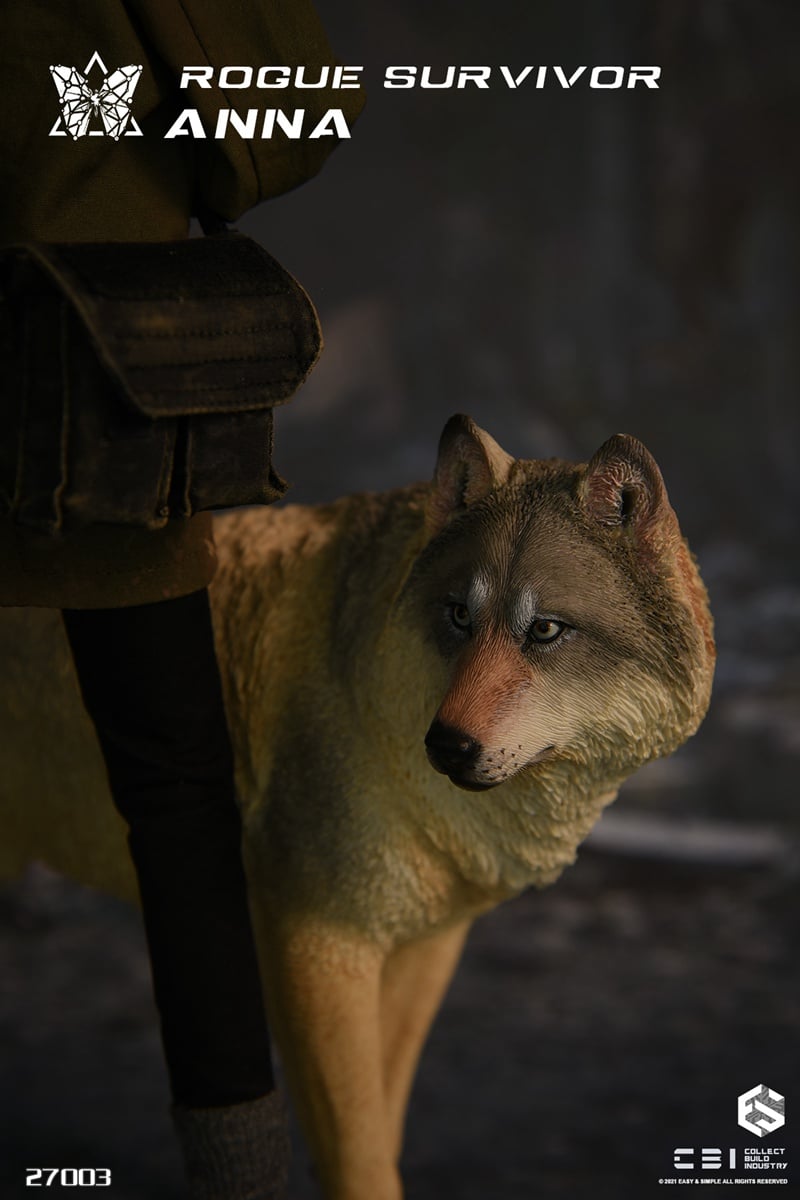 [สั่งจอง]CBI x Easy&Simple 27003 1/6 : Rogue Survivor - Anna