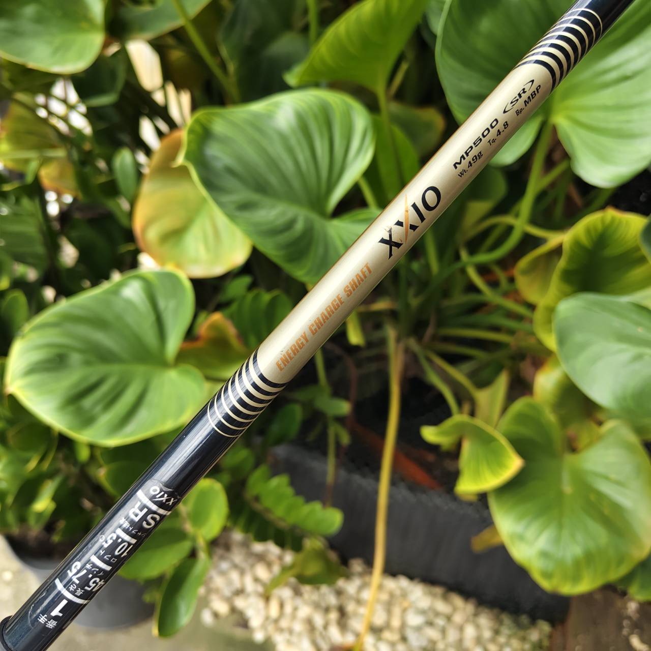 Driver ตัวดังจากญี่ปุ่น! XXIO IMPACT POWER MATCHING – ตีง่าย ฟีลนุ่ม ไกลแบบแทบไม่ต้องออกแรง