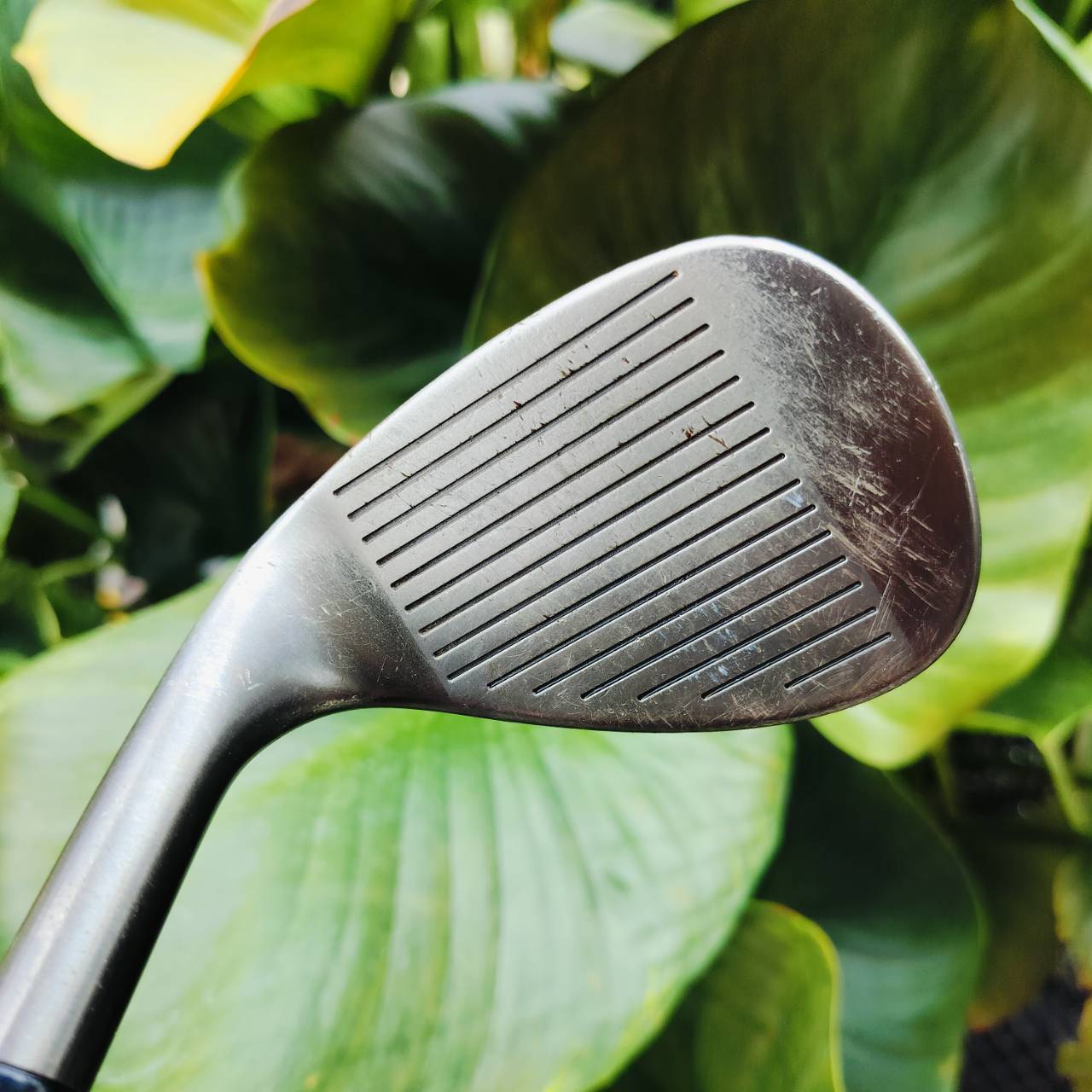 WEDGE CLEVELAND CG10 องศา 56 สองจุด STANDARD BOUNCE ก้าน DG WEDGE FLEX ร่องหน้าไม้ทำงานได้อย่างเต็มที่ ตกหยุดถอยหลังแน่นอนค่ะ ไม้กอล์ฟพรีเมี่ยมมือสอง ของแท้ By NakaraLuxurious