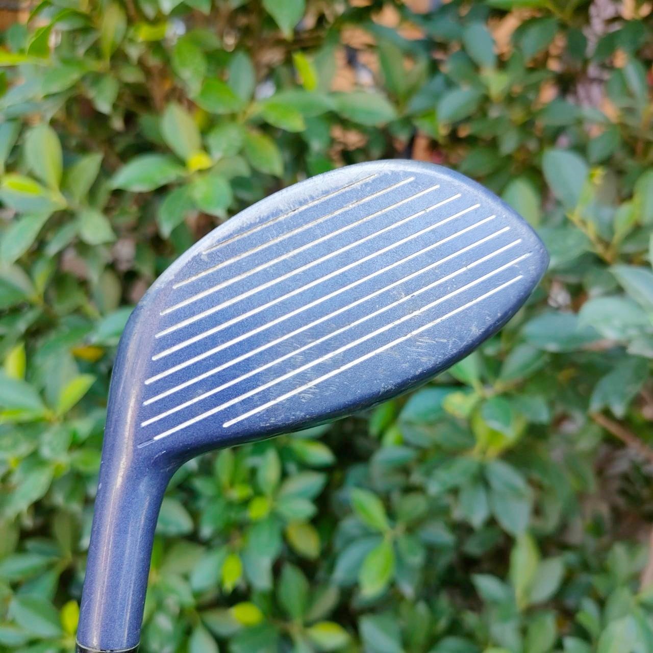 DRIVER MAXFLI DP-914 องศา 10.5 ก้าน TOUR BLACK BORON FLEX R