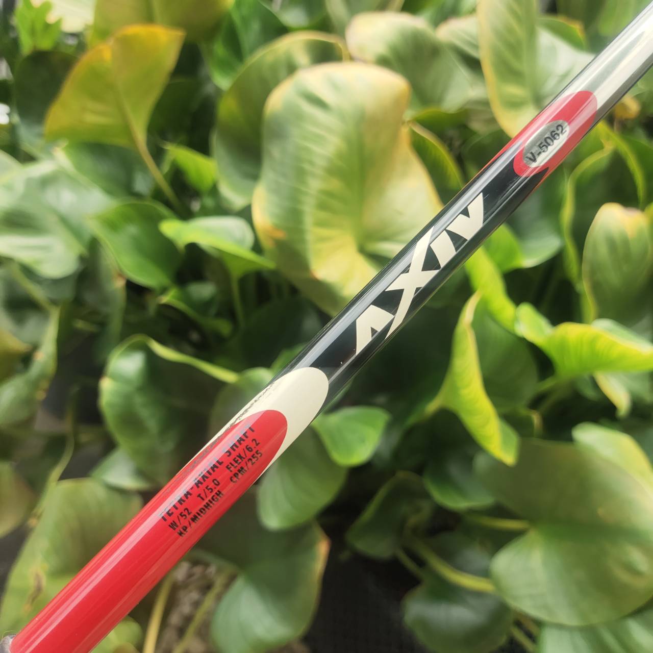 Driver Cleveland Ti460 มือสอง – เสียงแน่น ไกล คุ้มราคา!! สำหรับสายตีตรง ไกล ไม่ต้องจ่ายแพง