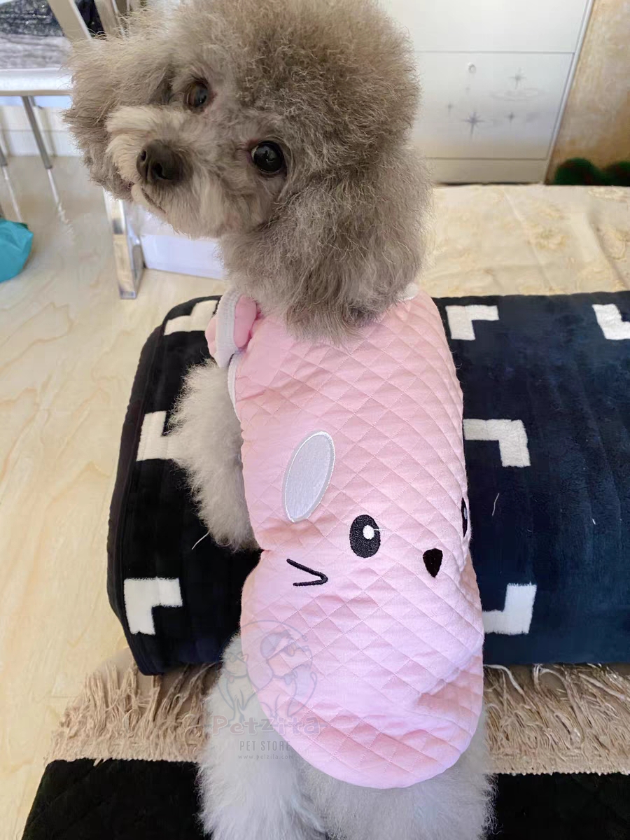 🇹🇭พร้อมส่ง🇹🇭 💗🌈 เสื้อกั๊ก สุดน่ารัก ผ้านุ่มนิ่ม สไตล์ญี่ปุ่น 🇯🇵 for pet สุนัข หมา แมว