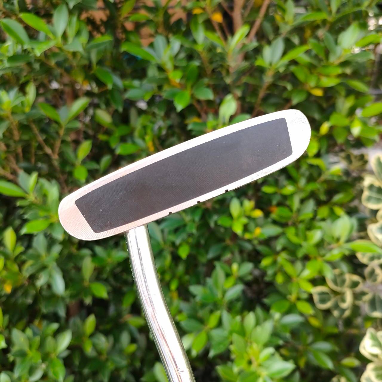 PUTTER ODYSSEY DUAL FORCE ROSSIE II ความยาว 34 นิ้ว หน้าดำ นุ่มหนึบ เกาะไลน์ ทองมอลเล็ต พัตต์ง่าย เล็งง่ายมากๆ