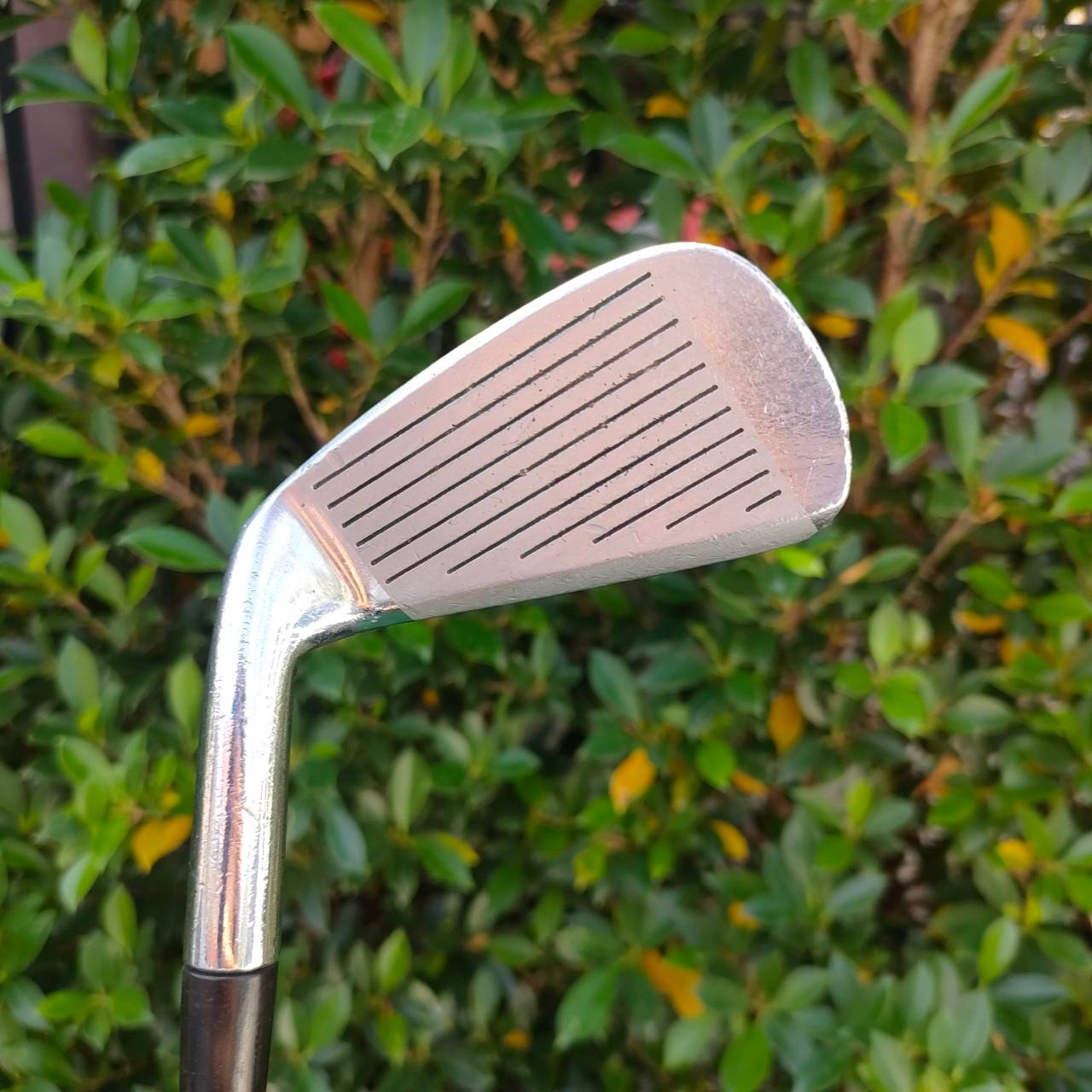 เหล็ก 7 HONMA CL-606 ก้าน BOROM NEW-VIO FLEX R ไม้กอล์ฟพรีเมี่ยมญี่ปุ่น