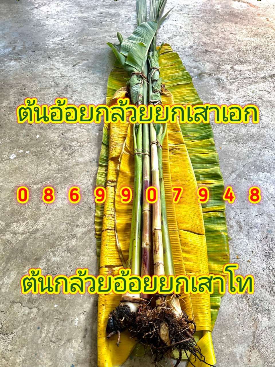 ต้นอ้อยต้นกล้วย (ขันหมาก)