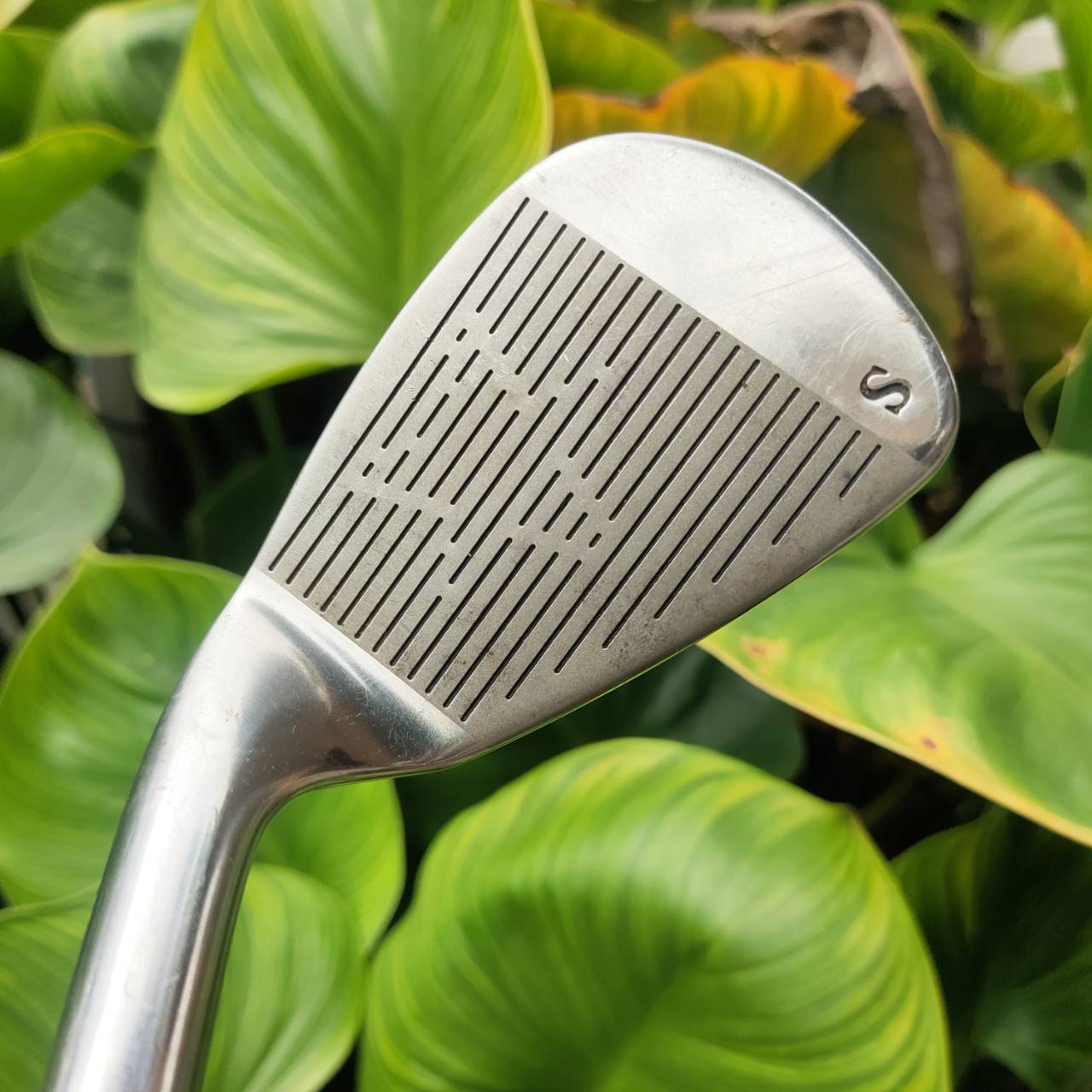 U.S. Kids Golf – Championship Series เหมาะสำหรับน้องๆ ความสูงประมาณ 145–155 cm