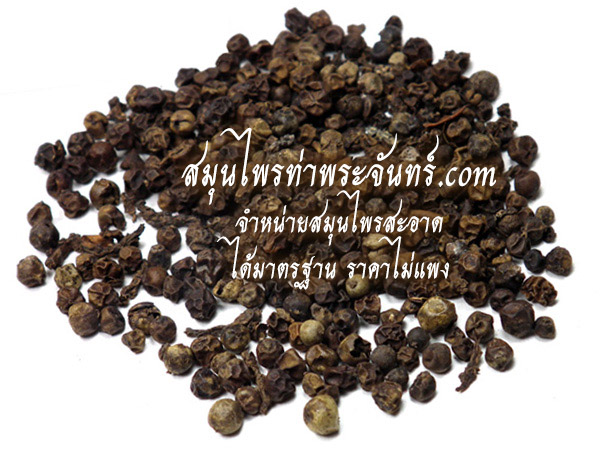 พริกไทยดำแห้ง ( 500กรัม - 1กิโล ) / ( 500g - 1kg ) สมุนไพรท่าพระจันทร์
