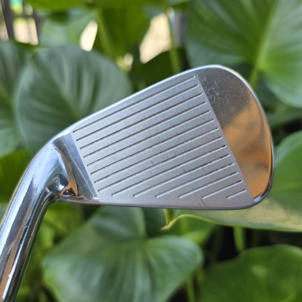 ชุดเหล็ก Callaway LEGACY BLACK V (Forged) ตัวพรีเมี่ยมสูงสุด เน้นขายในญี่ปุ่น วัสดุใส่เต็ม คุณภาพแบบเน้นที่สุดของ Callaway VAR (การดูดซับการสั่นสะเทือน) ทำให้ได้ฟีลลิ่ง ที่เหนือชั้นกว่าเหล็ก FORGED ทั่วไป ไม้กอล์ฟพรีเมี่ยมมือสอง ของแท้ By NakaraLuxurious