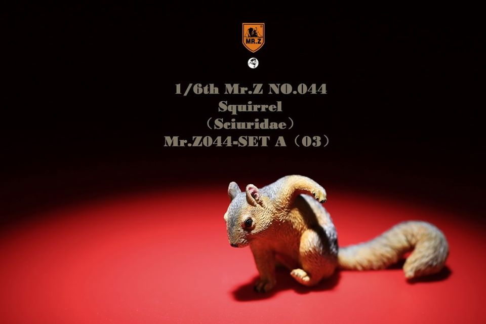 [สั่งจอง]Mr. Z Animal Model Mr.Z044 1/6th : Squirrell [Set A/B]
