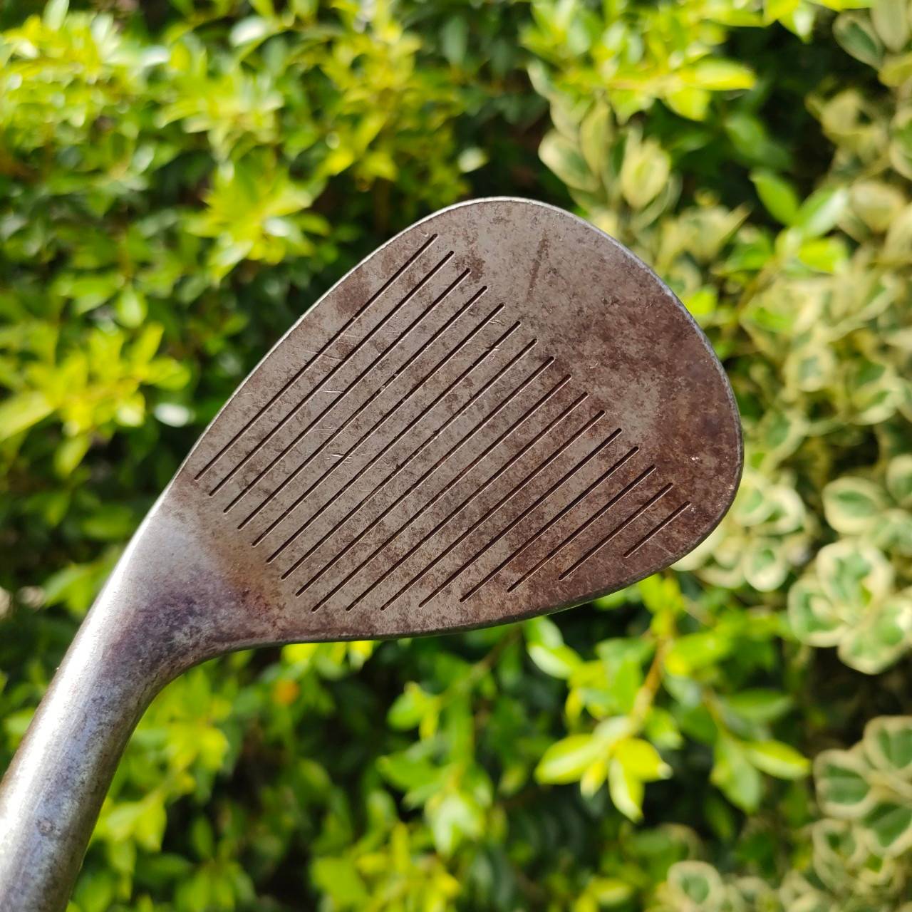 WEDGE FOURTEEN MT-28 V.2 รุ่นดัง องศา 56 ก้าน N.S.PRO 950GH FLEX S รุ่นนี้ชิพดีมาก และยอดนิยม เป็นรุ่นสนิมด้วย เนื้อเหล็ก FORGED พรีเมี่ยมญี่ปุ่น ชิพดี ฟีลดี สปินเต็มๆ