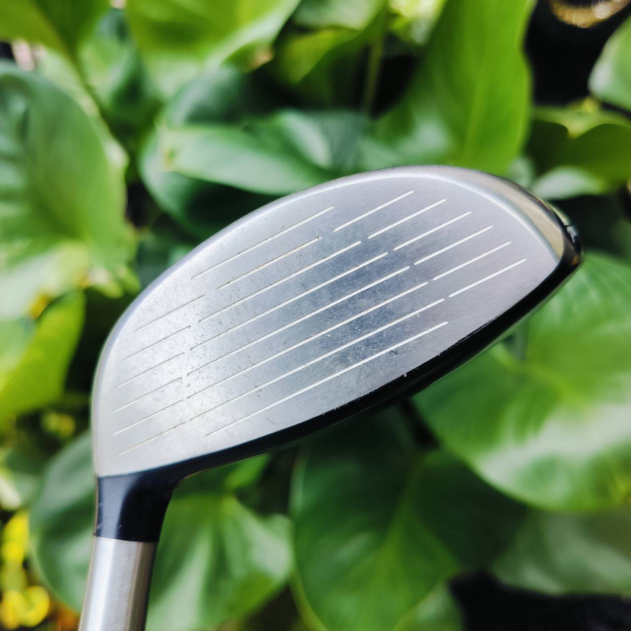 FW5 Cleveland Hi-Bore XLS ก้าน FUJIKURA FIT-ON M GOLD FLEX S รุ่นนี้กระดองปาดลง ทำให้จุด CG มาอยู่ต่ำ ทำให้ตีลอยง่ายมากๆ ไม้กอล์ฟพรีเมี่ยมมือสอง ของแท้ By NakaraLuxurious