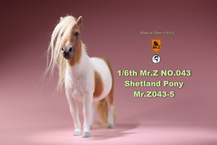 [สั่งจอง]น้องม้าน้อยโพนี่ 1/6 MR. Z Animal Model MRZ043 1/6th Shetland Pony(all 5 colors)