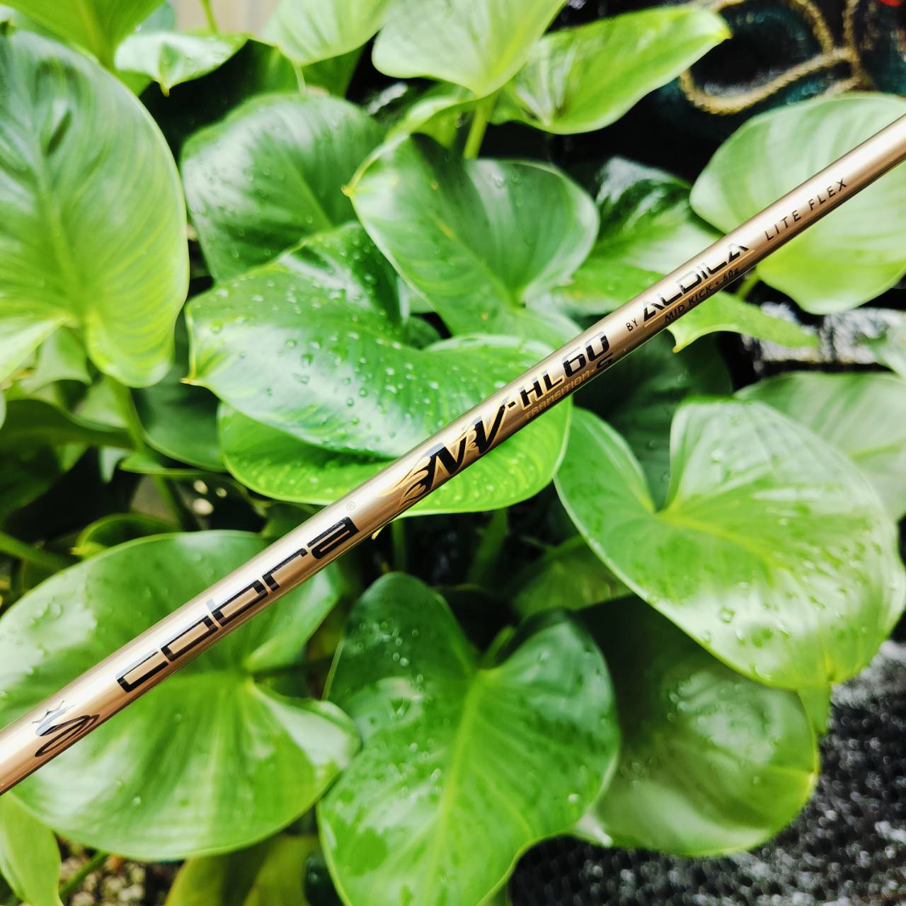 UT4 KING COBRA TRANSITION S ก้าน ALDILA NV-HL LITE FLEX ก้านพรีเมี่ยม แบบตีสบายๆนุ่มนวล ตีง่าย สปีดไม่ต้องเร็ว ก็ตีไกลมาก ไม้กอล์ฟพรีเมี่ยมมือสอง ของแท้ By NakaraLuxurious