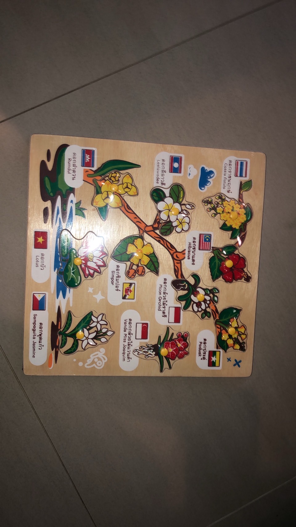 ภาพตัดต่อ ดอกไม้อาเซียน กระดานหมุดดอกไม้อาเซียน , ของเล่นไม้, ของเล่นเสริมพัฒนาการ, ของเล่นเด็กอนุบาล, สื่อการสอนเด็กอนุบาล