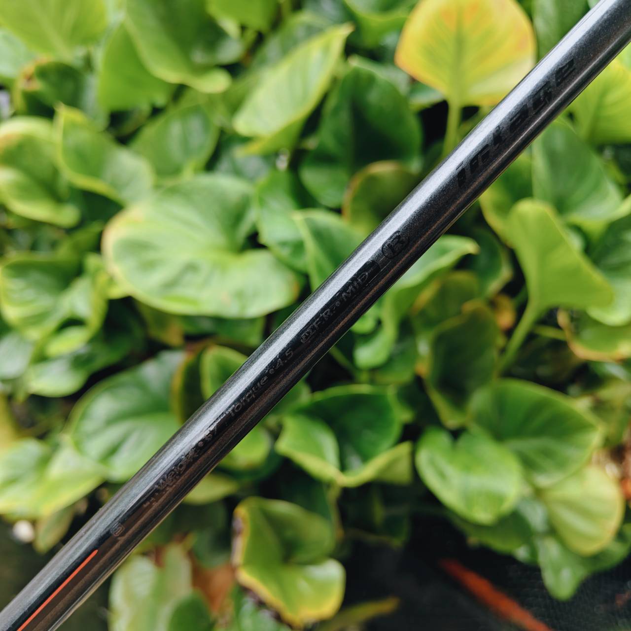 เหล็ก 3 MIZUNO INTAGE – หน้าไม้มีแผ่นเด้ง Titanium + ก้านเดิม Flex R