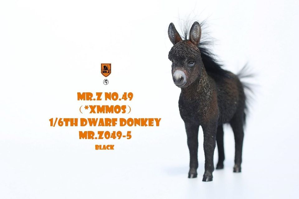 [สั่งจอง] Mr.Z MRZ049 Animal Model No.49: 1/6th Dwarf Donkey