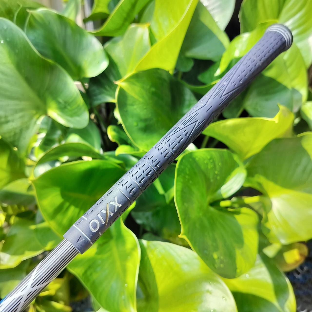 ชุดเหล็กหน้าเด้ง XXIO MP800 ติดรางวัลที่ 1 ของญี่ปุ่น หน้าไม้ มีแผ่นอีก 1 ชั้น เพิ่มความเด้ง ตีง่ายตีไกลมาก ไม้กอล์ฟพรีเมี่ยมญี่ปุ่นมือสอง ของแท้ By NakaraLuxurious