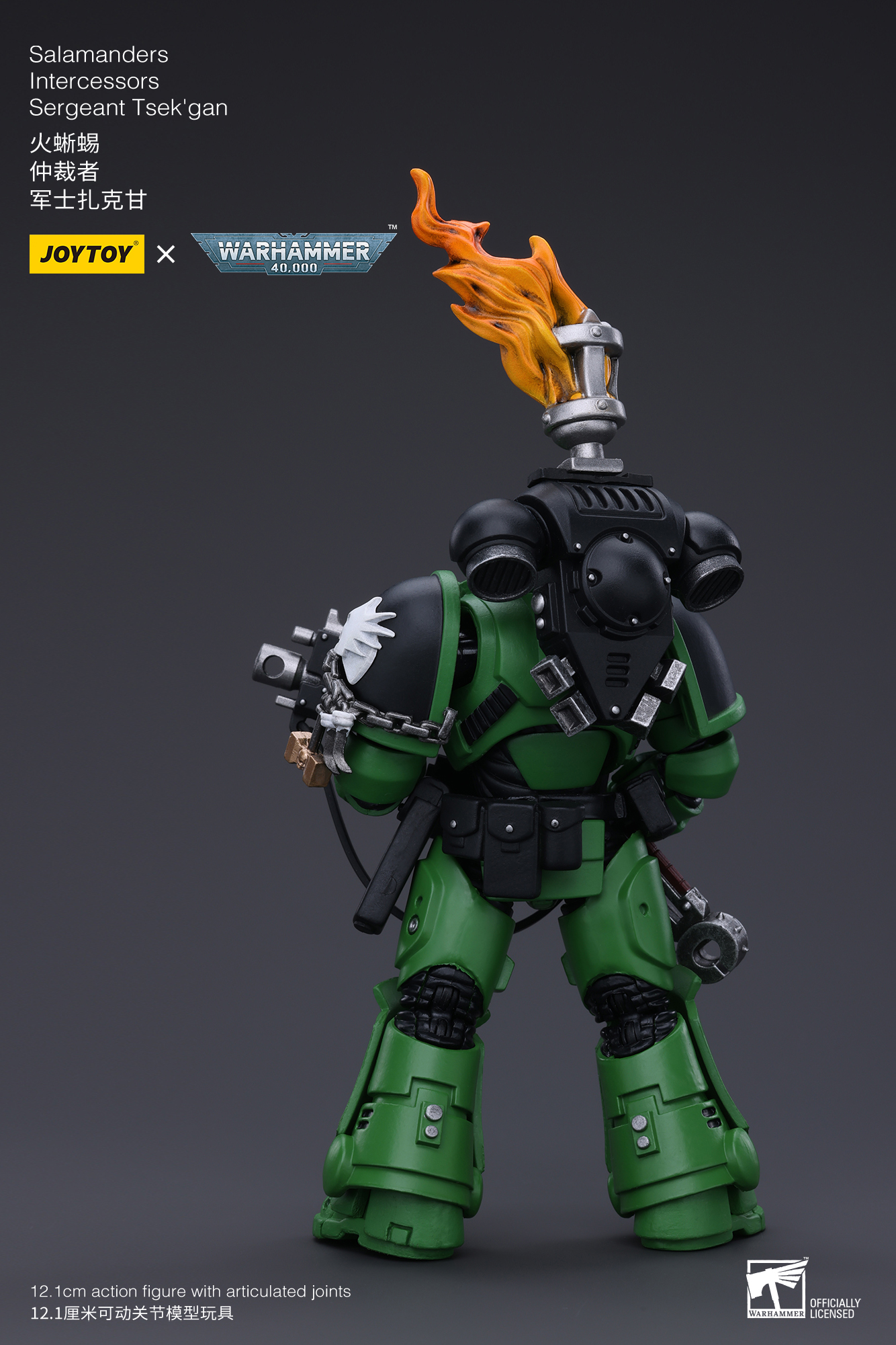 [สั่งจอง]Joy toy 1/18 --- Salamanders Intercessors ----
