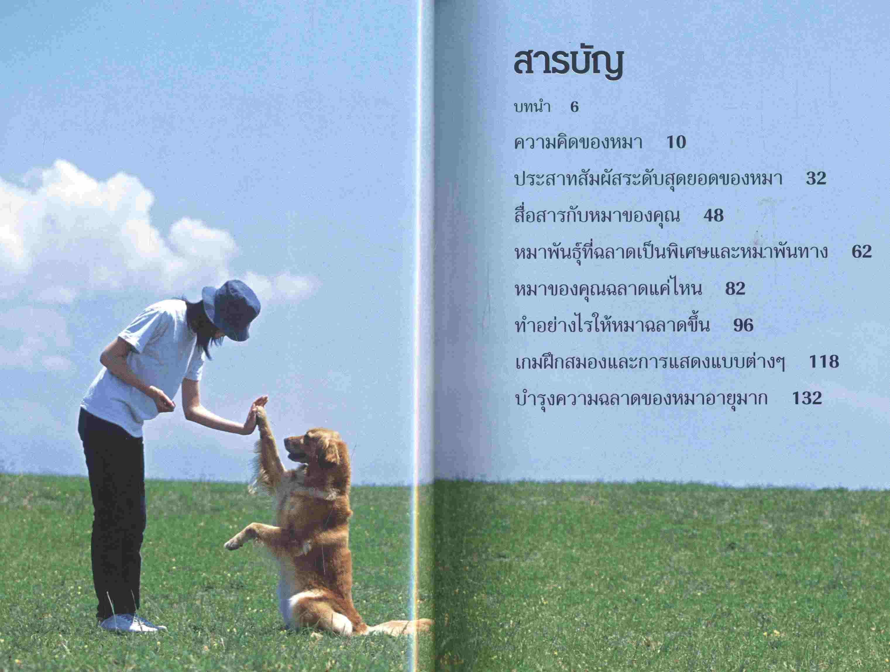 คู่มือฝึกหมาขั้นเทพ