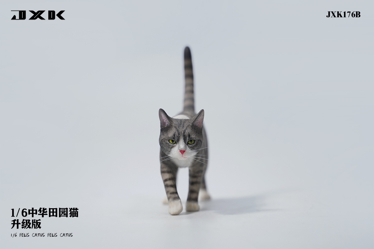 [สั่งจอง] JXK JXK176 1/6 : Felis Catus