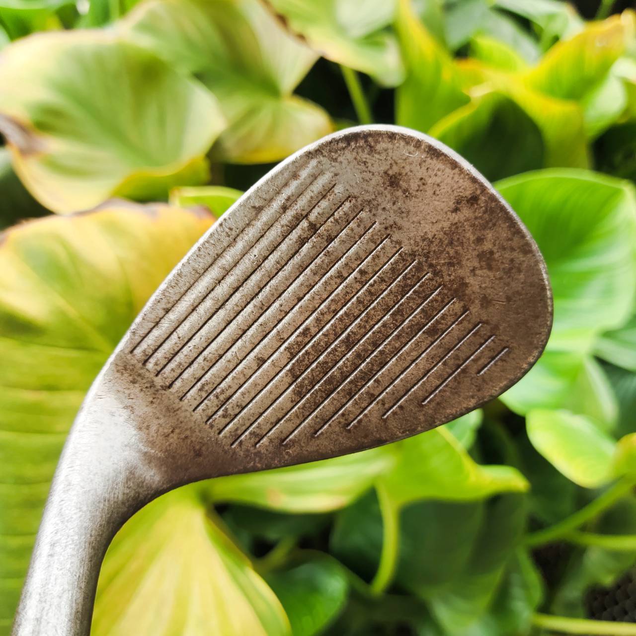 WEDGE CLEVELAND REG588 รุ่น RAW FINISH (หรือที่เรียกว่ารุ่นสนิม) องศา 56° (Sand Wedge)