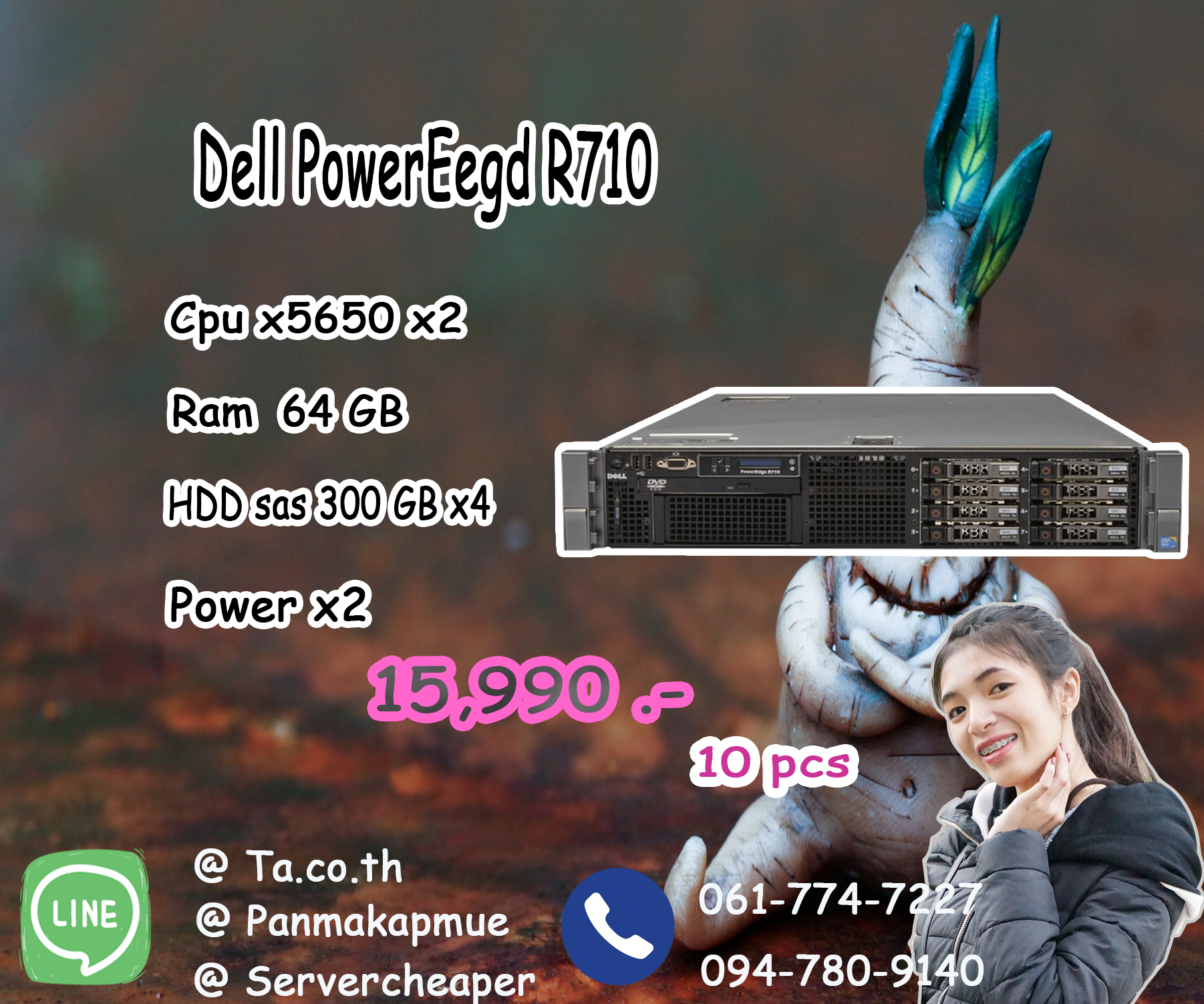 Dell Poweredge R710