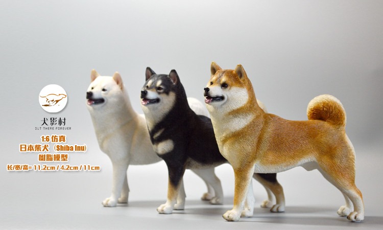 [สั่งจอง]SGTOYS S-010,S-011,S-012 1/6 Animal Model Chihuahua/ Rottweiler/ Springer Spaniel/Shiba Inu