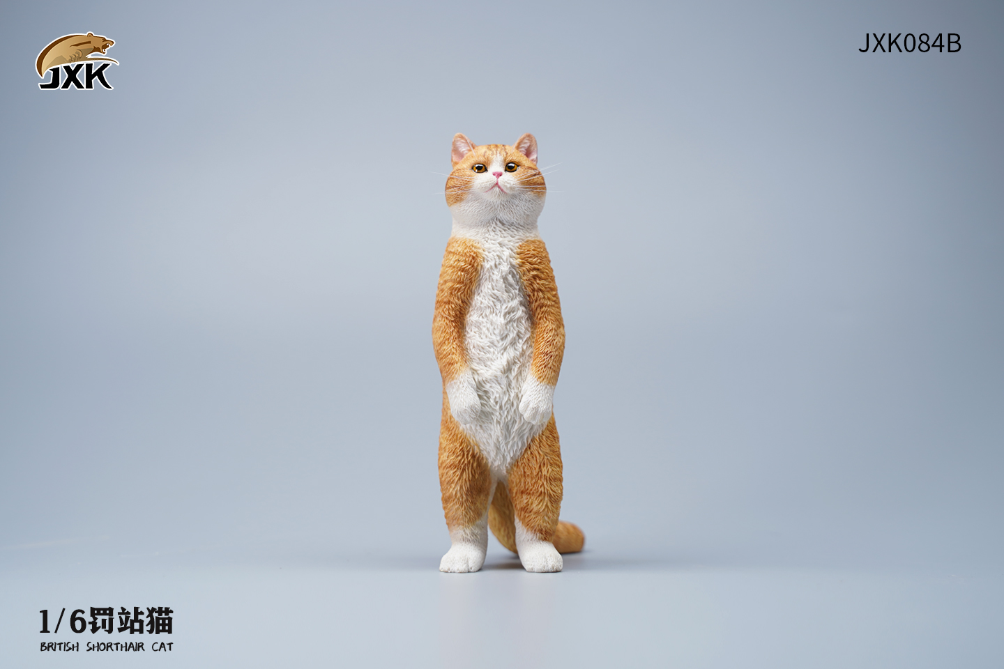 [สั่งจอง] JXK JXK084 1/6 : British Shorthair Cat