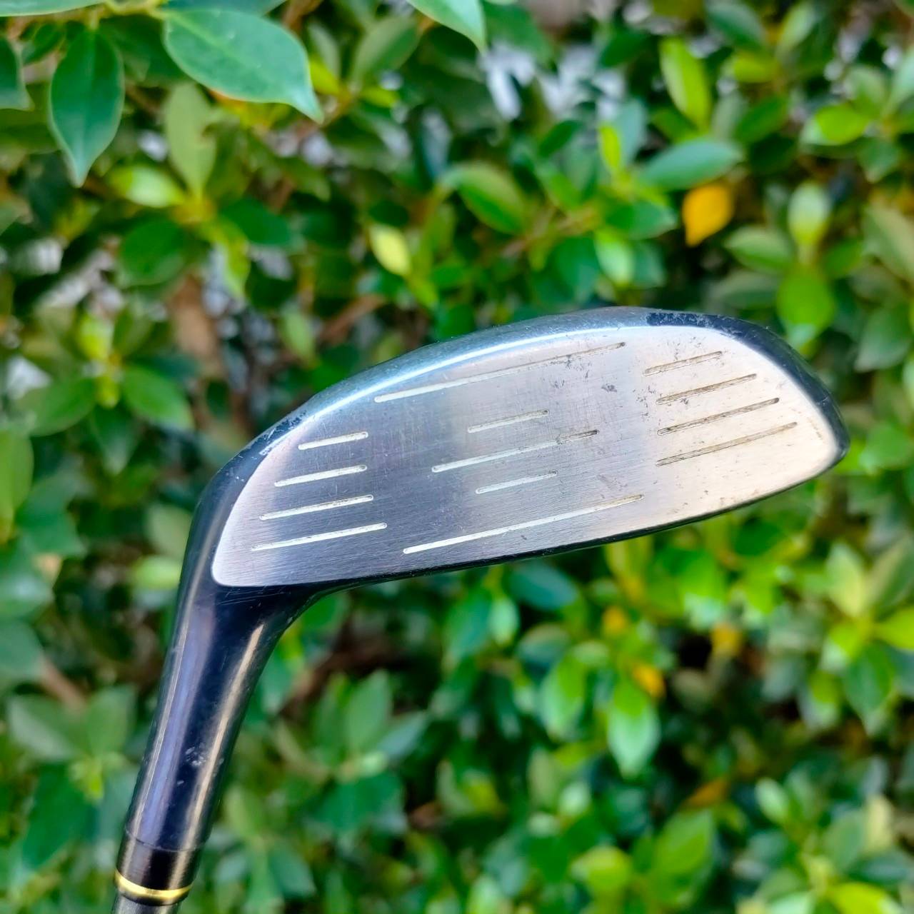 **ไม้กอล์ฟสำหรับผู้หญิง** FW5 KASCO DNA FEREINA LADY ก้าน KASCO FLEX L MADE IN JAPAN