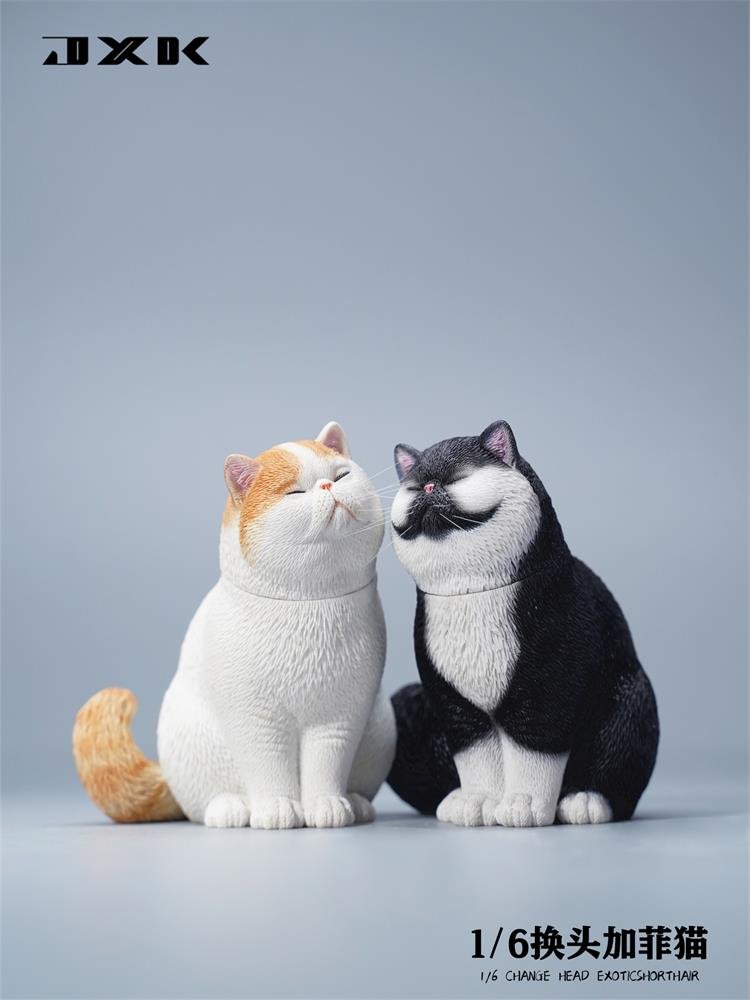 [สั่งจอง]JXK JXK113 1/6 : Change Head Exoticshorthair