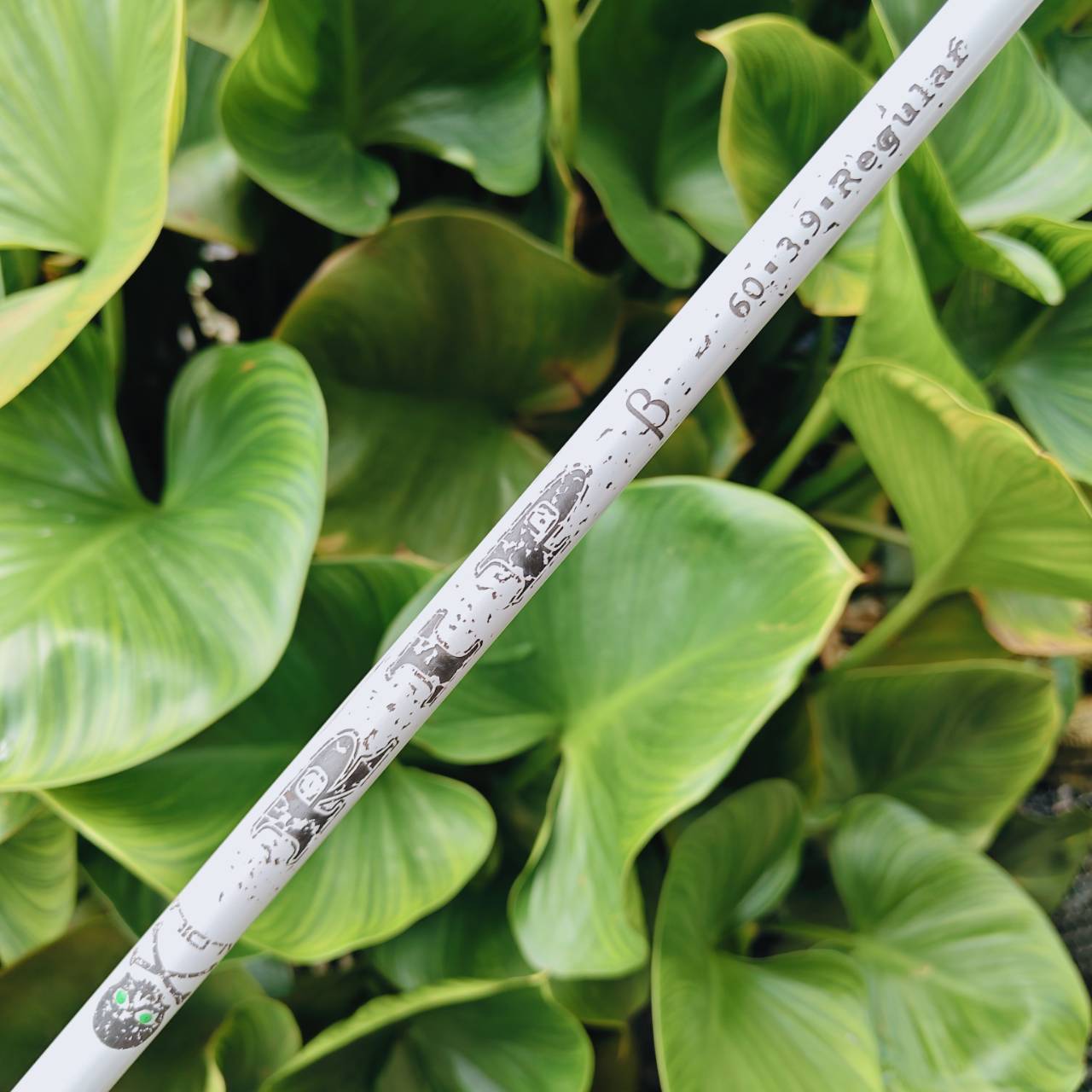 DRIVER NEW ZL ENCORE – โฉบเฉี่ยว ล้ำสมัย และเต็มไปด้วยสีสัน!