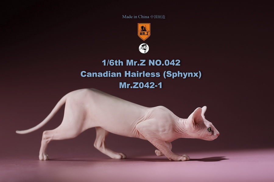 [สั่งจอง]แมวสฟิงก์ แมวน้อยขนกลับด้าน 1/6 Mr. Z Animal Model No.42: 1/6th Canadian Hairless (Sphynx)