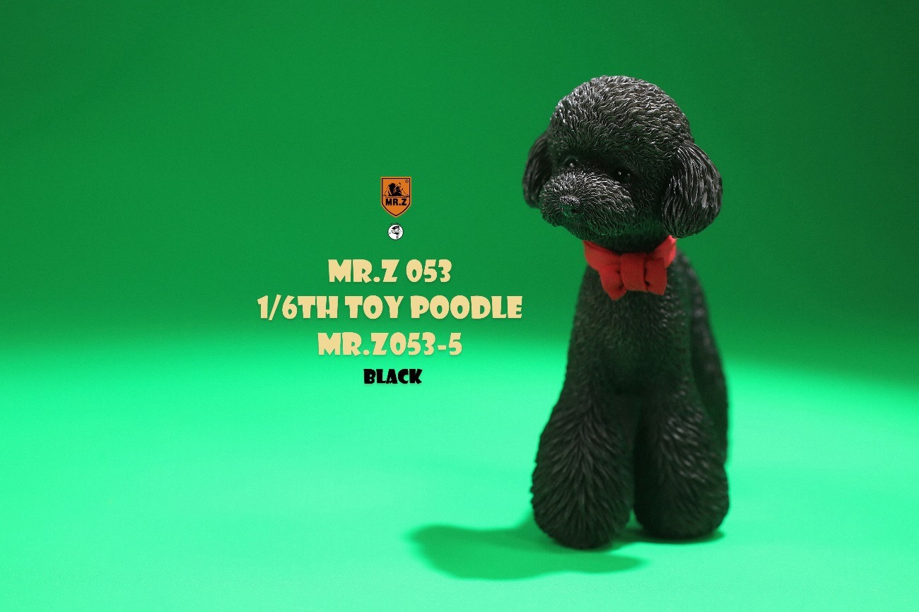 [สั่งจอง]Mr.Z MRZ053 animal model 1/6 : Toy Poodle