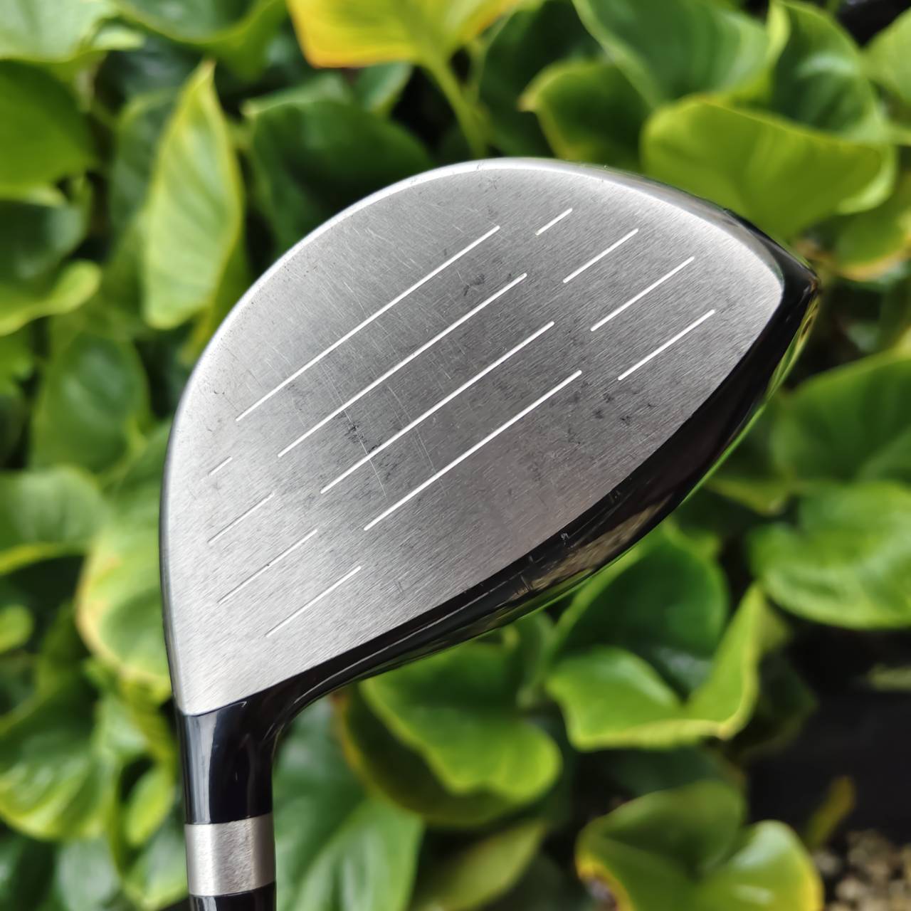 HONMA TOUR WORLD TW727 460 Driver – ไดรเวอร์ที่ให้อภัยสูงที่สุดในซีรีส์