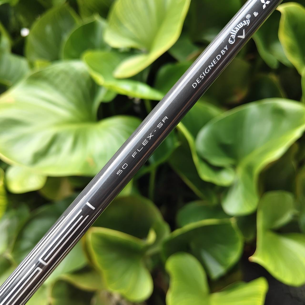 Callaway Paradym Ai Smoke MAX D -- Ai Smart Face วิเคราะห์และออกแบบจากวงสวิงจริง หน้าไม้เสถียรตลอด