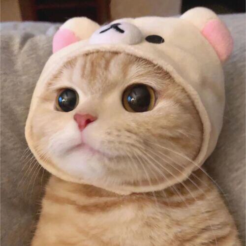 เดรสสั้น ระบายไหล่ ลายดอกไม้ ผูกเอว สีขาว ขาว