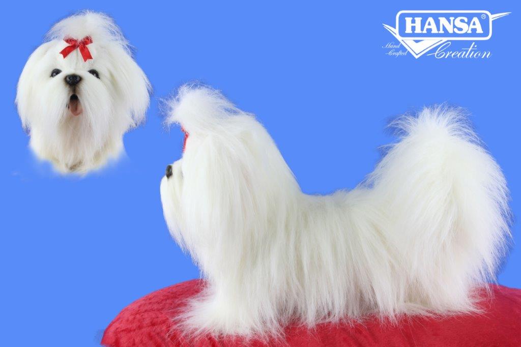 8398 Shih Tzu White Standing 34cm.L