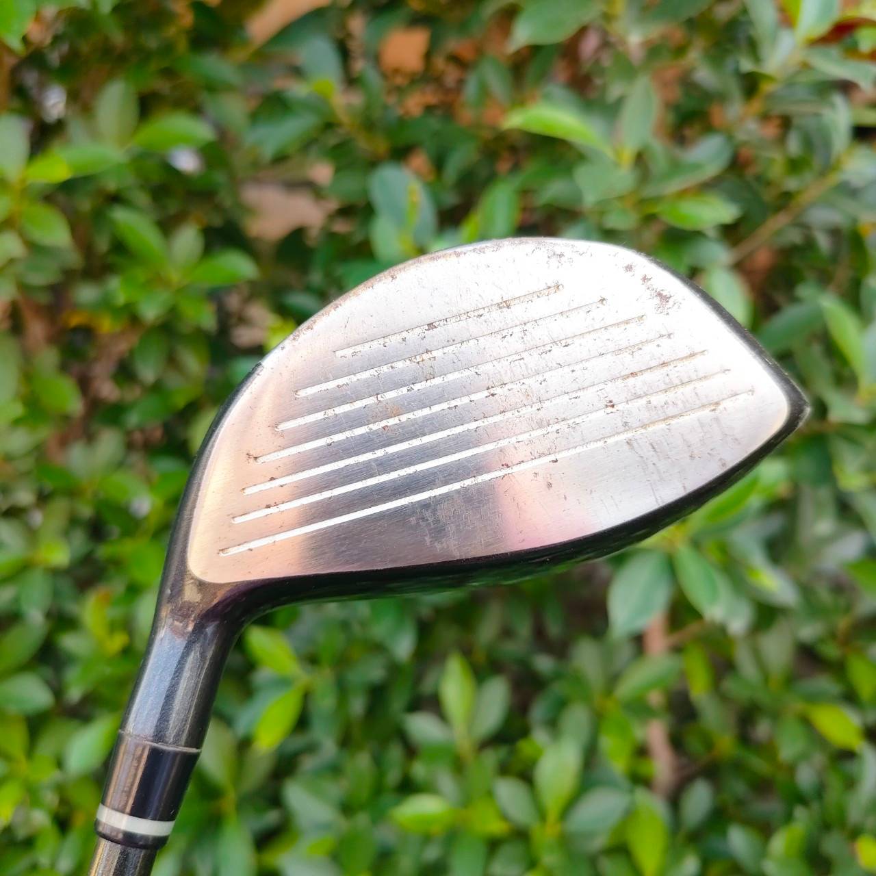 FW 7 HIPPO MARAGING STEEL องศา 24 ก้าน KATANA FLEX SR หน้าเด้งมากๆ ตีแทนเหล็กยาวครับ