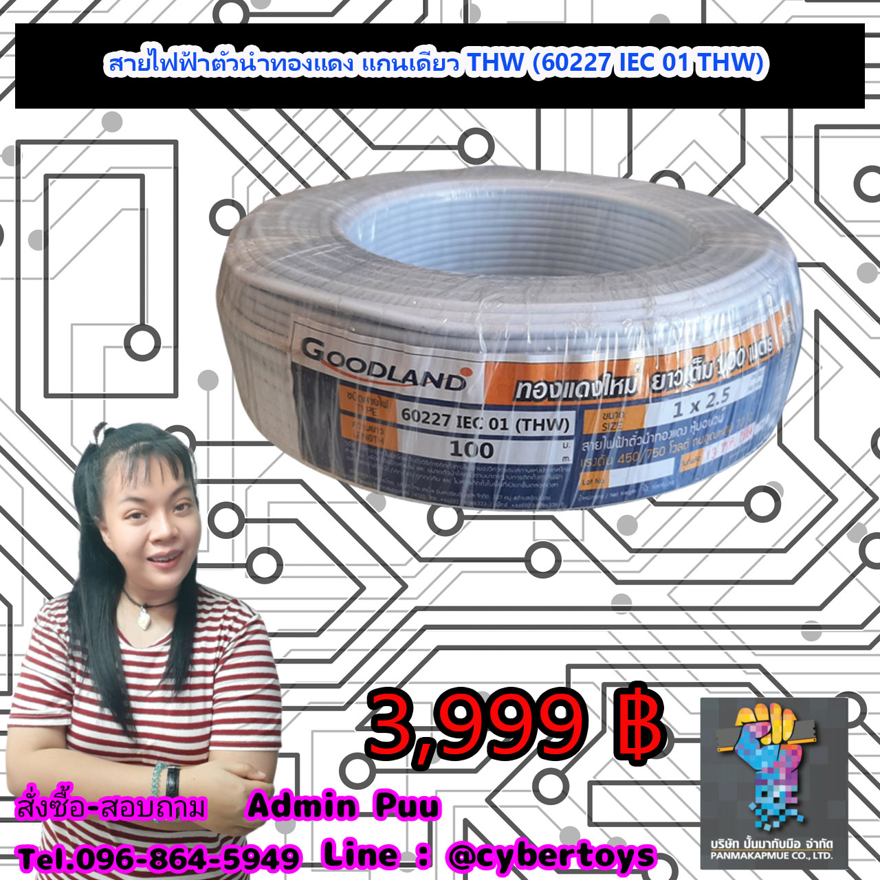 สายไฟฟ้าตัวนำทองแดง แกนเดียว THW (60227 IEC 01 THW)
